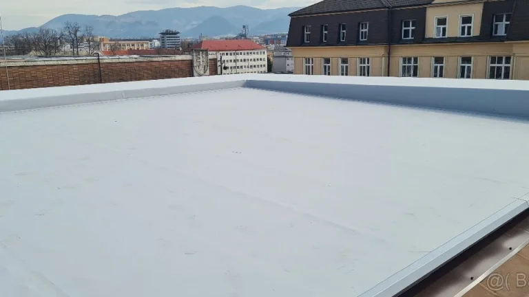 Pomocný pracovník
