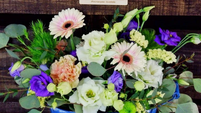 Hľadám prácu ako floristka/dekoratérka