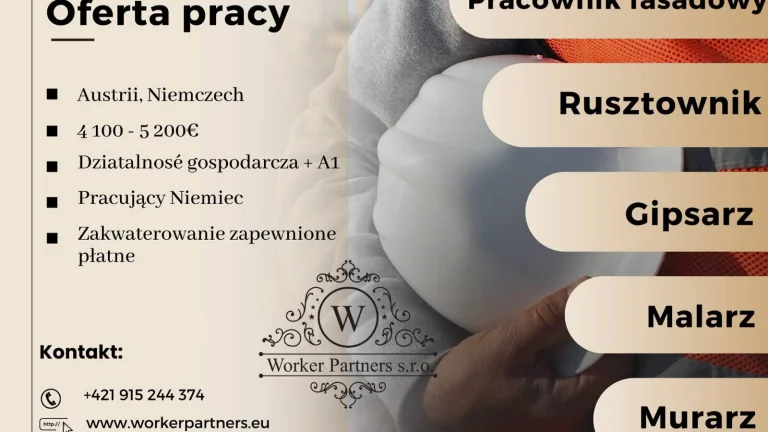 Oferta pracy