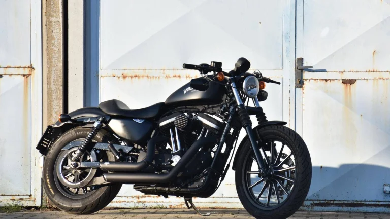 Harley-Davidson XL 883N Sportster Iron