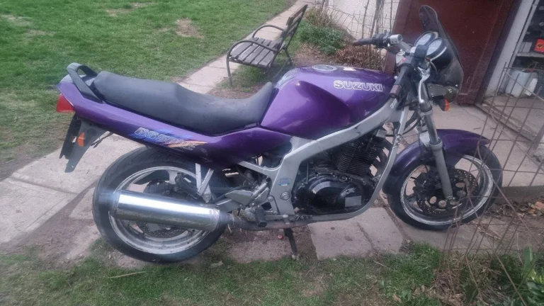 Suzuki GS 500 E