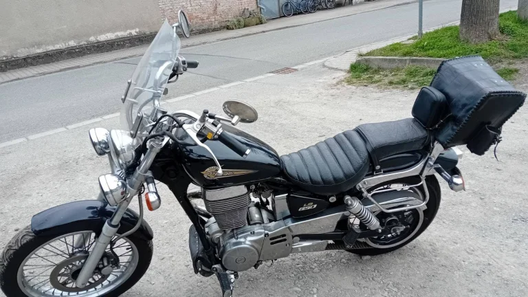 Suzuki LS 650 Savage