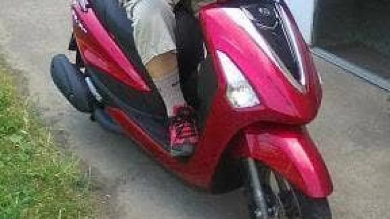 Yamaha D´elight
