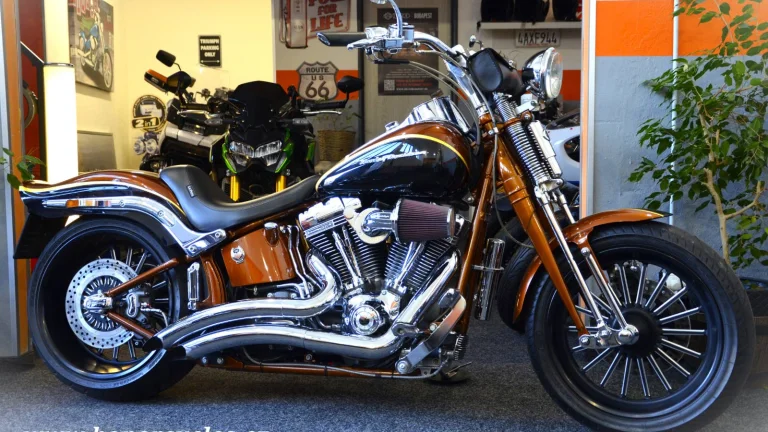 Harley-Davidson FXSTSSE Screamin´ Eagle Softail Springer 1.majitel