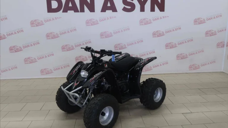 Access Motor DRR 100 Černá | Nová čtyřkolka