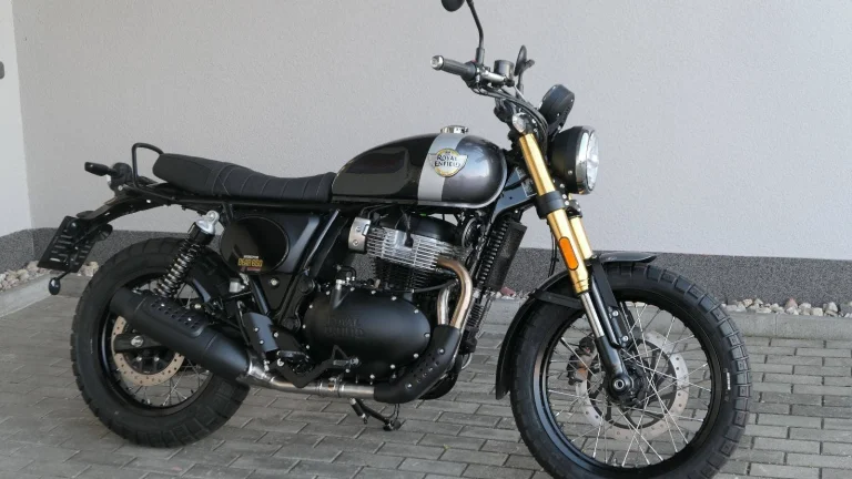 Royal Enfield Bear 650 Golden Shadow ( odpočet DPH ) NOVINKA | Nový motocykl