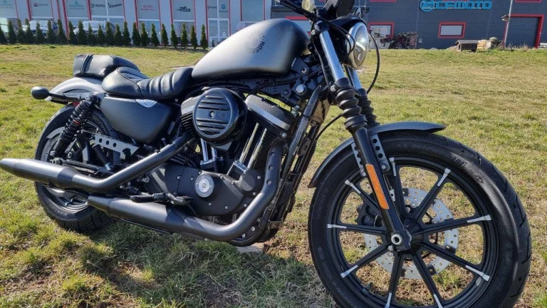 Harley-Davidson XL 883N Sportster Iron