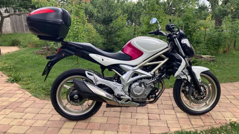 Suzuki SFV 650 Gladius