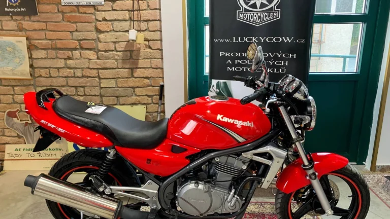 Kawasaki ER-5 - 22tkm