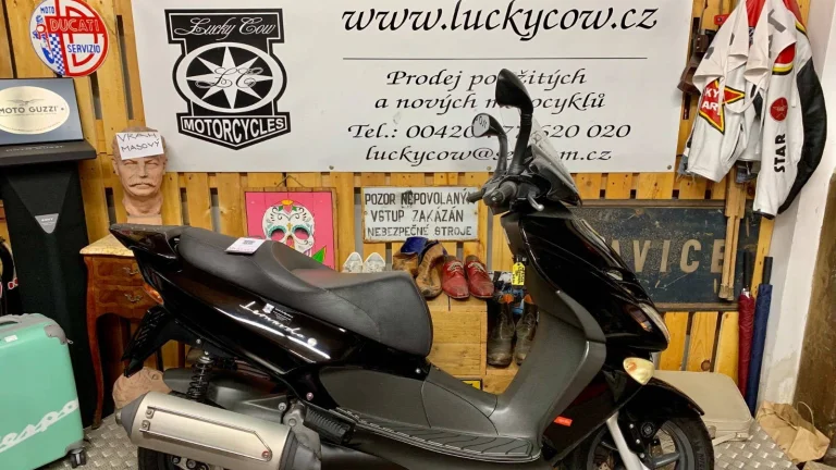 Aprilia Leonardo 150-TOP