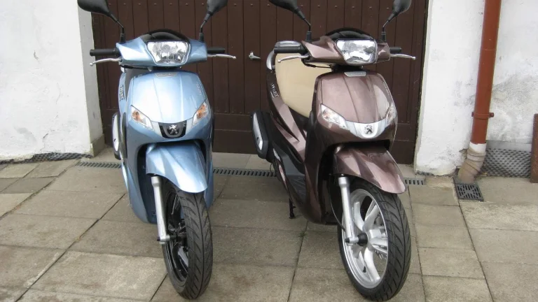 Peugeot TWEET 50
