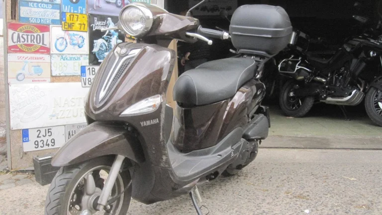 Yamaha D´elight