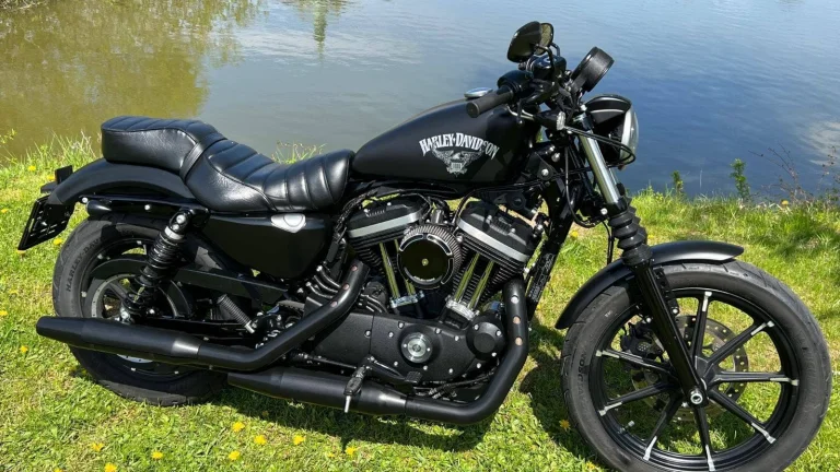 Harley-Davidson XL 883N Sportster Iron