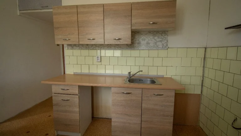 Byt 2+1, 53 m² se zahradou – Dolní Poustevna,