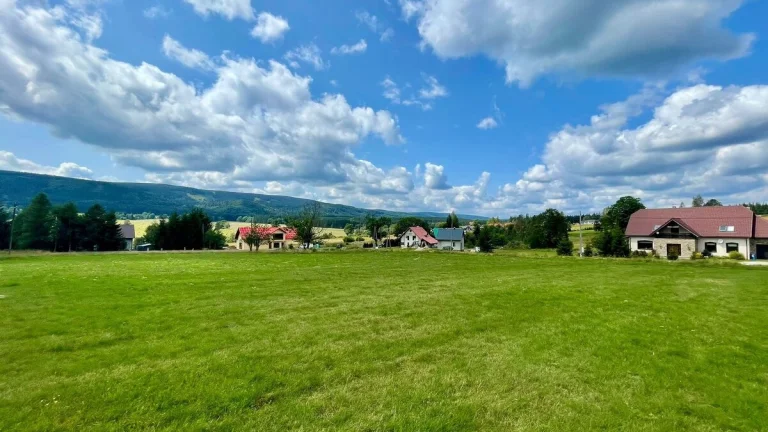 Prodej pozemku, 3 067 m2 - Orlické Záhoří, ev.č. 00560