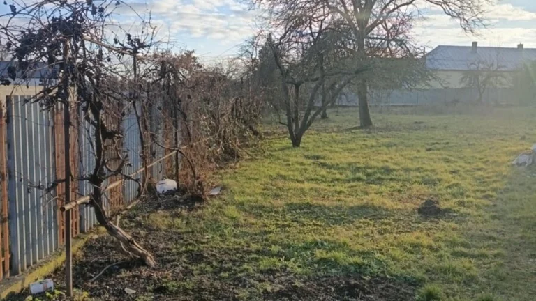 Pozemok v obci Sačurov