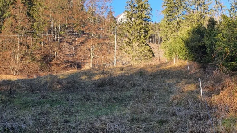 Predam stavebny pozemok Sklabinsky Podzamok 2000 m2