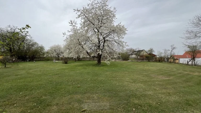 Prodej stavebního pozemku (650 m²), Újezd, Albrechtice nad V