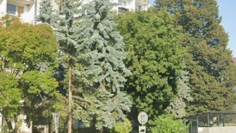 GARZONKA