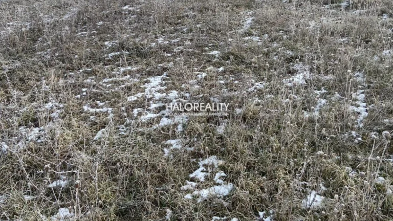 HALO reality - Predaj, pozemok pre rodinný dom 720 m2 Kráľ