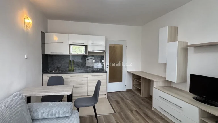 Pronájem bytu 1+kk, 29 m2, Leoše Janáčka, Luhačovice