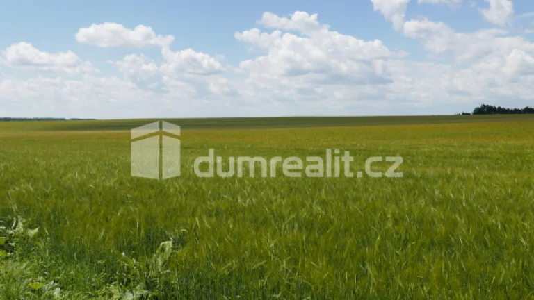 Prodej orné půdy v katastru Horní Bousov 11679 m2