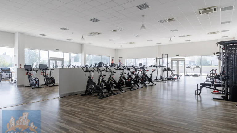 Pronájem obchodních prostor/showroomu (490,9 m2), SHOP PARK