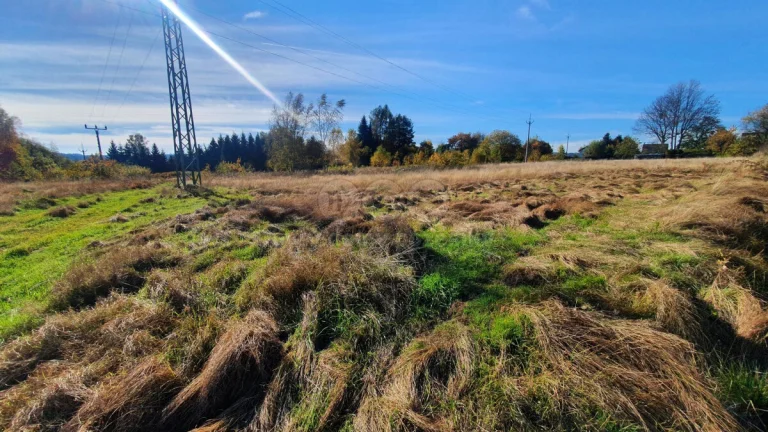 Prodej pozemku k bydlení, 10565 m², Rumburk