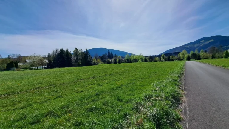 Prodej pozemku v Čeladné 1585 m2 , stavební