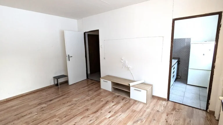 Pronájem bytu 1+1, Jana Kubelíka 1309, Most