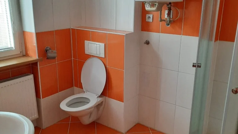Pronájem bytu 2+1 (cca 55 m2)