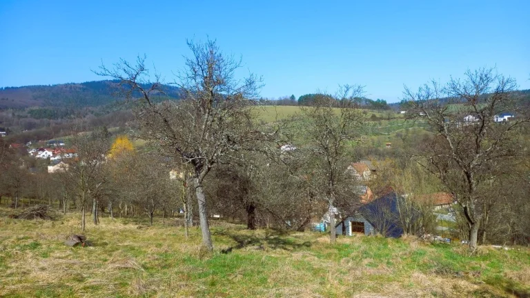 Stavební parcela vč. st. povolení, sad, louka 26 074 m2
