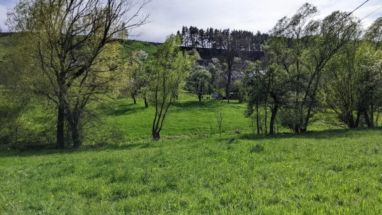 Prodám zahradu 2000m² - Frýdštejn - Sestroňovice