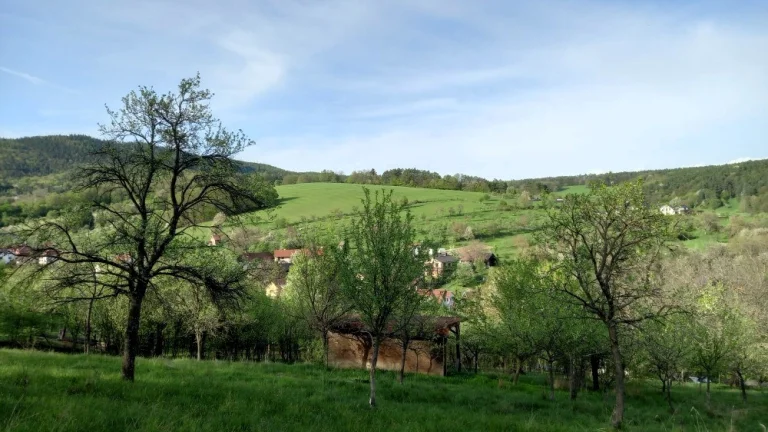 St. parcela 3179 m2, Podhradí u Luhačovic