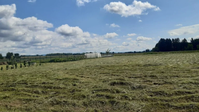 Prodej stavebního 1721 m² - Chocnějovice u Mnichova Hradiště