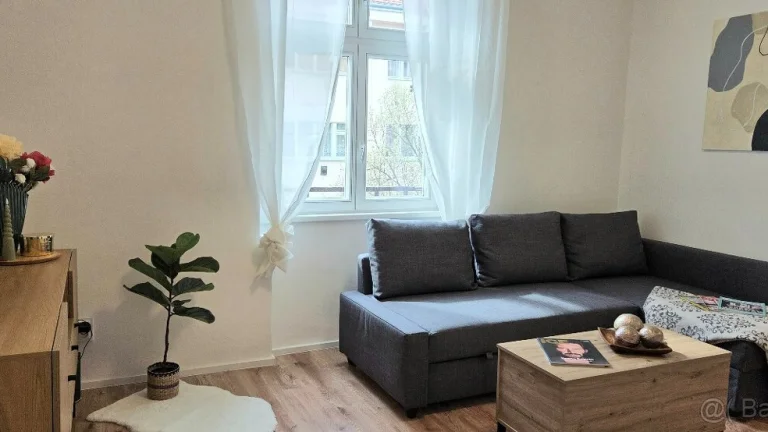 Krásný částečně zařízený byt 2 kk Žižkov, Praha 3