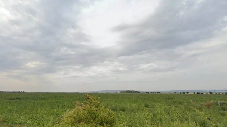 Zahrada - pole - Příkazy u Olomouce 500 m2