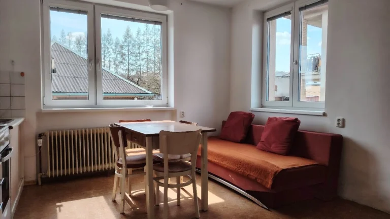 Pronájem bytu 1+1 v Pacově
