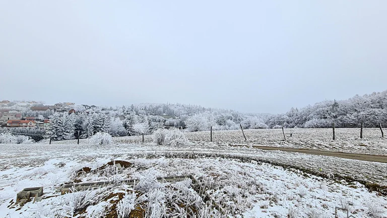 Prodej zahrady 755m2 v Ruprechtově, Zahrada Stavební parcela