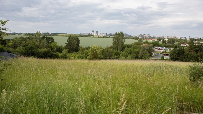 Prodej stavebního pozemku 1481 m2