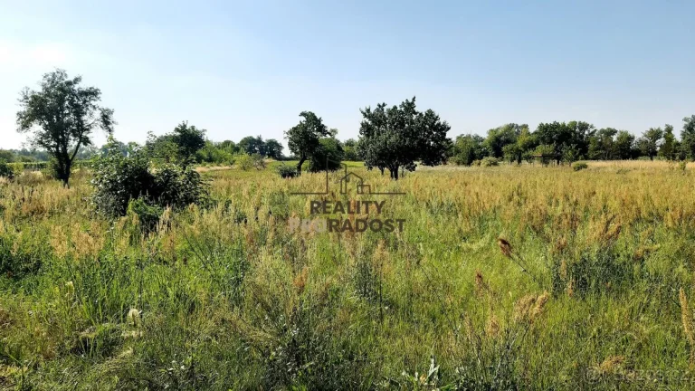 Prodej stavebního pozemku 2575 m2 v obci Lužice, lokalita Zá