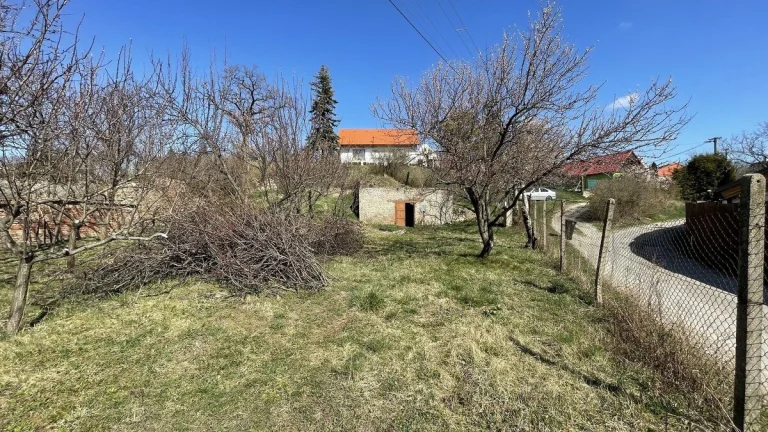 Prodej vinného sklepa s pozemkem (663 m2) ve Valticích-čás
