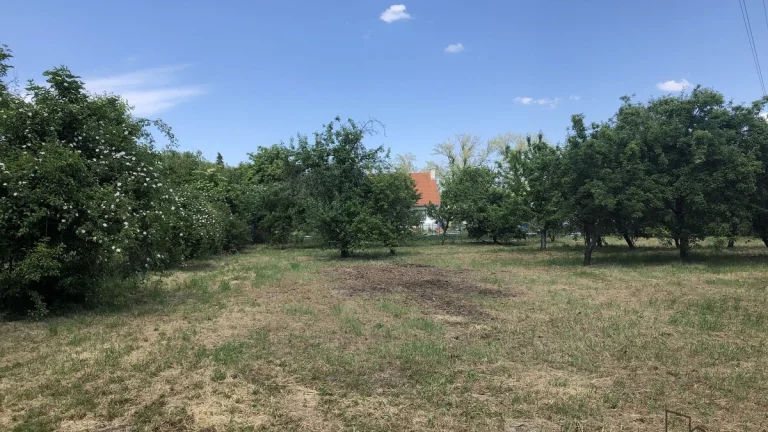 Prodej zahrady, oblast Rybáře, Hodonín, zahrada v obci Hodon