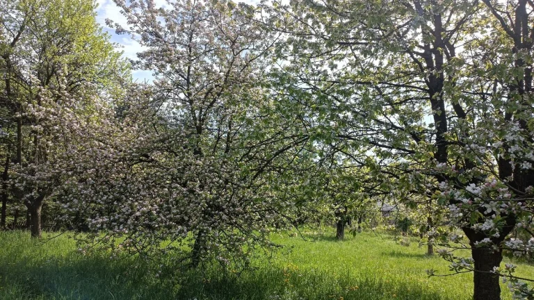 Stavební pozemek