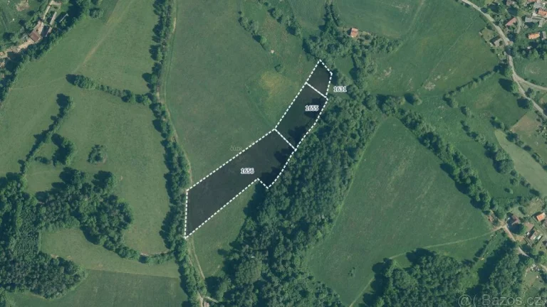 Louka, prodej, Želvice, Mileč, Plzeň jih
