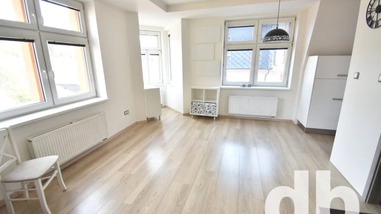 Pronájem byty 2+kk, 57 m2 - Karlovy Vary - Rybáře