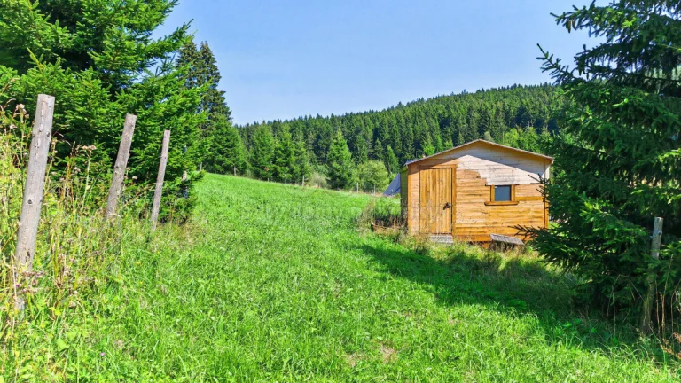 Prodej louky, 2445 m², Malá Úpa
