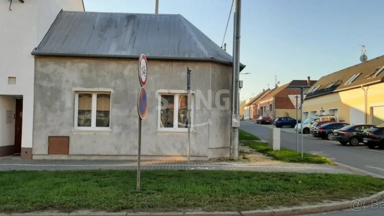 Rodinný dům nebo komerční objekt, Karoliny Světlé, S, 126036
