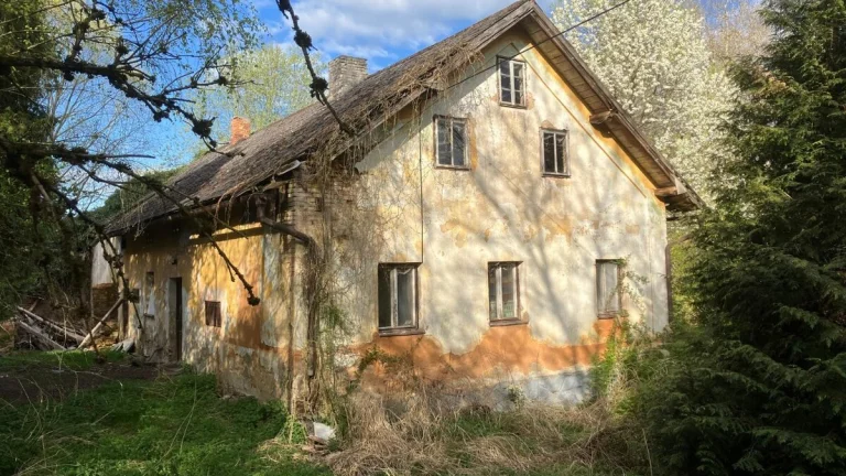 Prodej ve veřejné dražbě