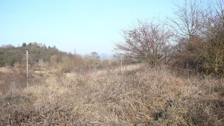 TRVALÝ TRAVNATÝ POROST - 30 834 m2
